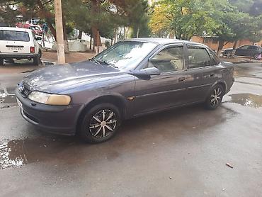 Opel: Opel Vectra: 1.9 l | 1996 il 326262 km Sedan — 7