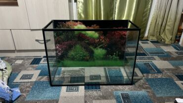 аллер корм для рыб бишкек: Срочно срочно 
Аквориум 100 литр 
Айнеги 8 мм