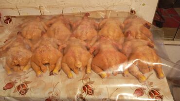 животные птицы: Продаю тушки бройлеров в Сокулуке вес 2 кг.по 300 с./кг жирные,не
