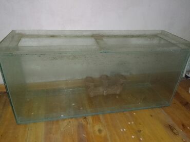 suvener v Azərbaycan | HEYKƏLCIKLƏR: Tecili akvarium satilir.50aznölcusu boyukdu.Pula ehtiyac var deye ucuz