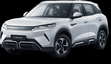 бортовой бус сапог: Брызговики для byd юань ап!
В наличии!!! Отличного качества!