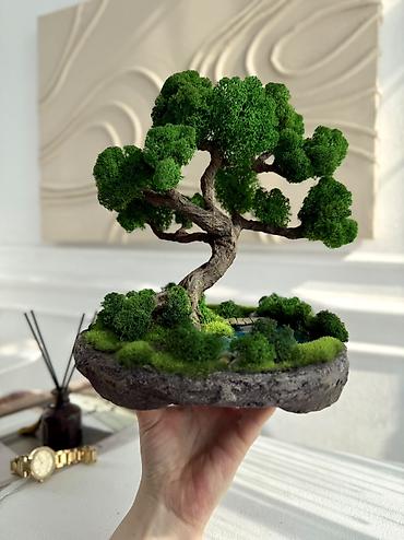 Декоративные цветы: Деревья-бонсай из натурального стабилизированного мха🌳 -это — 93