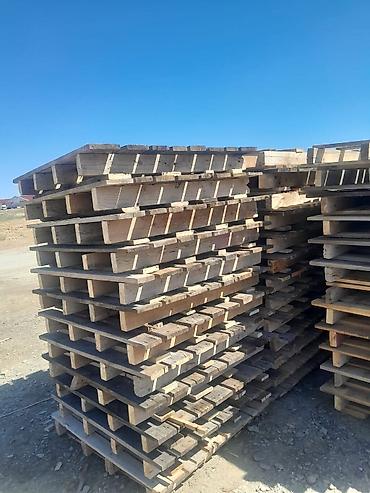 Поддон, 800 х 1200 sm, Самовывоз at lalafo.az — 7 Поддон, 800 х 1200 sm, Самовывоз — 7