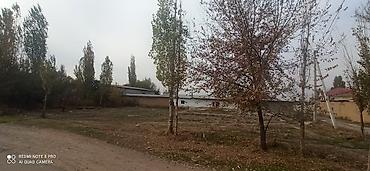 rich home: 5 соток, Для строительства, Тех паспорт — 6
