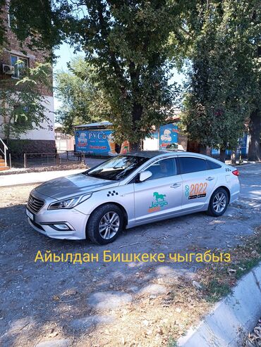 консультация врача по телефону 24 часа бесплатно бишкек: Экскурсия Кыргызстандын бардык аймактарына баасы келишим баа