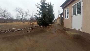 Продажа участков: 25 соток — 15