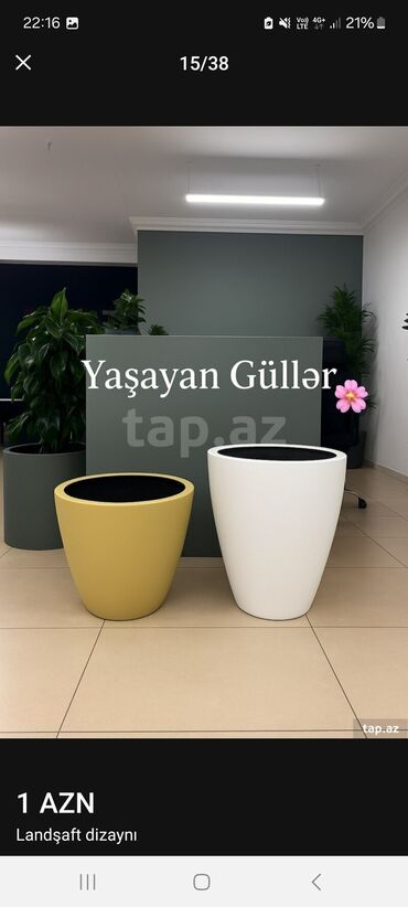 Landşaft işləri: Məhsul/xidmət: Landşaft dizaynı və hazır qazon (rulet qazon) işləri — 10