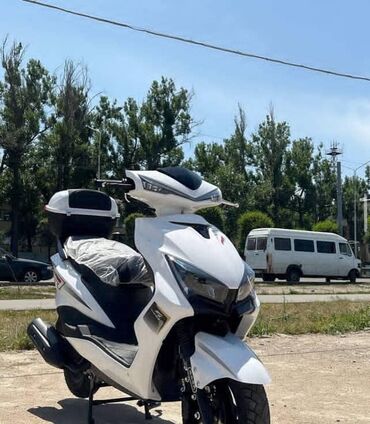ремень для скутера: Скутер M8, 150 куб. см, Бензин, Жаңы, Бөлүп төлөө менен
