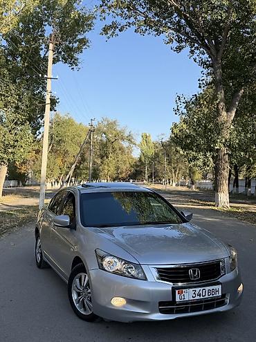 амортизатор акорт: Honda Accord: 2008 г., 2.4 л, Автомат, Бензин, Седан — 1