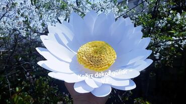 Digər ev dekoru: Sinif otağı, bağça,, məktəb, gözəllik salonu, mağaza vitrin, toy nişan — 13