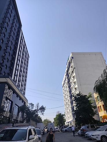 Новостройки от застройщика: Элитка, Студия, 195 м² — 12