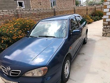 ниссан пристиж: Nissan Primera: 1999 г., 2 л, Механика, Бензин, Седан — 5