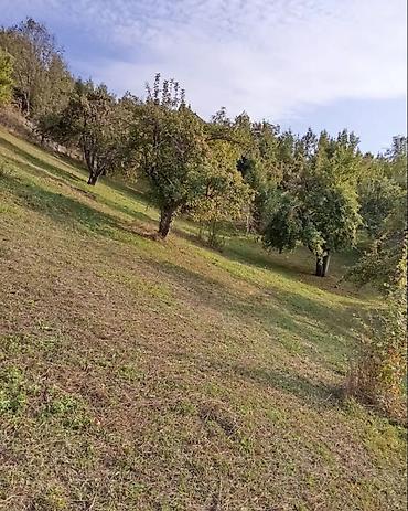 ismayılı: 6 sot, Tikinti, Mülkiyyətçi, Kupça (Çıxarış) — 6