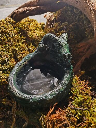 Зоотовары: 🌿 Украшения и декорации для аквариумов и террариумов 🌿 Продаю — 4