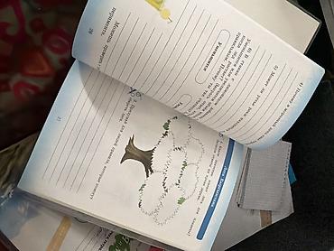 solutions upper intermediate: Рабочая тетрадь «Я и мир». 3 класс, часть 2 (с наклейками). Авторы: Е — 2
