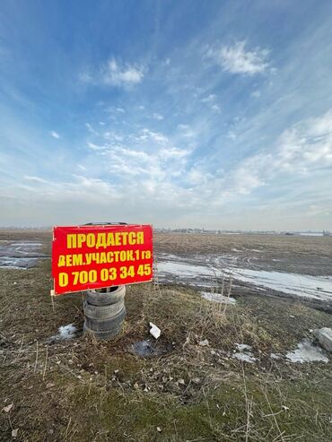 дом с землёй: 100 соток, Для бизнеса