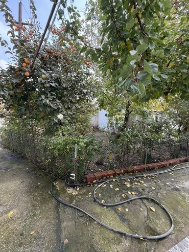 Həyət evləri və villaların satışı: 4 otaqlı, 500 kv. m, Kredit yoxdur, Yeni təmirli -da lalafo.az — 2 Həyət evləri və villaların satışı: 4 otaqlı, 500 kv. m, Kredit yoxdur, Yeni təmirli — 2