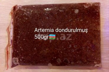 Akvariumlar: Artemiya (salina) 500qr
Unvan:Xırdalan aaff Park məhdud sayda