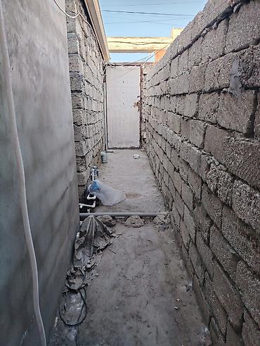 Kirayə evlər: 50 kv. m, 2 otaqlı — 3