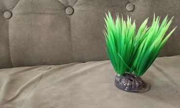 Akvariumlar: Salam! 1 şəkil -Akvarium - 35 manata 40 idi 2 şəkil -filtr - 16 -da lalafo.az — 12 Akvariumlar: Salam! 1 şəkil -Akvarium - 35 manata 40 idi 2 şəkil -filtr - 16 — 12