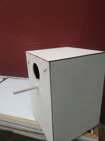 Dovşanlar: Dovşan yemləri 1-kilosu 2azn Dovşan balaları 5azn topdan Tək tək 9-azn — 16