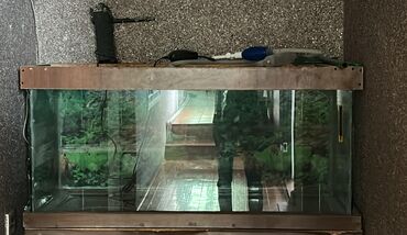 akvar: Dördbucaq akvarium, Boş, 360 l, Ünvandan götürmə