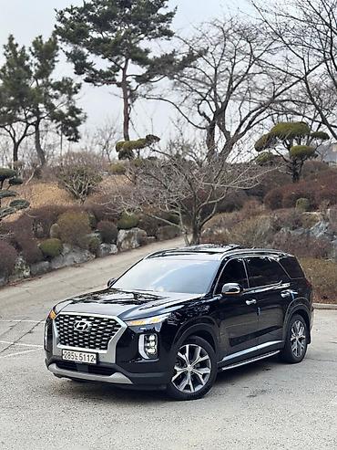 Hyundai: Hyundai Palisade: 2020 г., 2.2 л, Дизель — 1