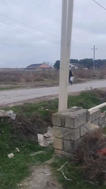 binə torpağ: 27 sot, Biznes üçün, Mülkiyyətçi, Kupça (Çıxarış) — 6