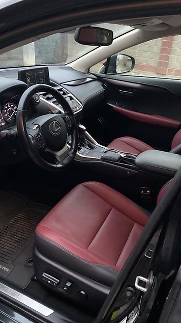 Lexus: Lexus NX: 2019 г., 2 л, Автомат, Бензин, Кроссовер — 8