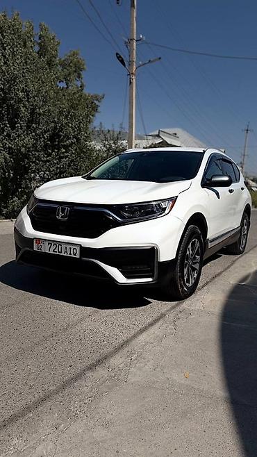honda crv 2019: Honda CR-V: 2019 г., 1.5 л, Бензин, Кроссовер — 1