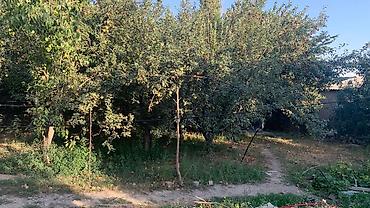 Продажа коттеджей и домов: Продаю дом 2этажный дом под псо 14*9.5 м . 2дома за 85тыс$ участок — 9