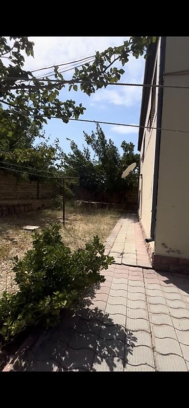 nargilə: Saray 7 otaqlı, 260 kv. m, Orta təmir — 4
