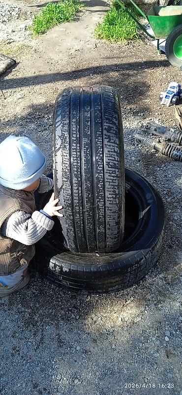 Шины: Шины — 14