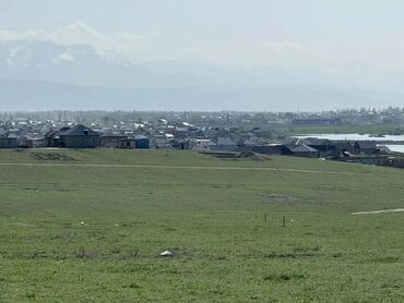купить дом покровке за волной: 225 соток, Бизнес үчүн, Сатып алуу-сатуу келишими