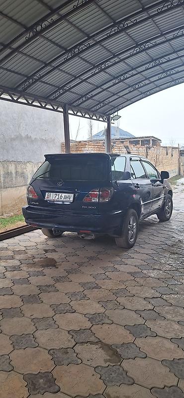 Lexus RX: 2002 г., 3 л, Автомат, Бензин, Кроссовер
