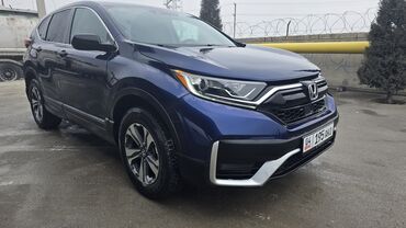 Honda: Honda CR-V: 2019 г., 1.5 л, Вариатор, Бензин, Кроссовер