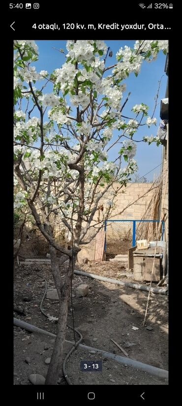 Həyət evləri və villaların satışı: 4 otaqlı, 200 kv. m, Kredit yoxdur, Orta təmir -da lalafo.az — 3 Həyət evləri və villaların satışı: 4 otaqlı, 200 kv. m, Kredit yoxdur, Orta təmir — 3