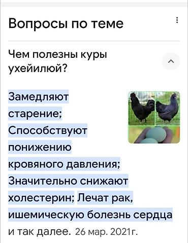 инкубацыоное яйцо: Инкубаторго салганга жумурткага заказ алам.Парода Ухейилю Яйца с — 3