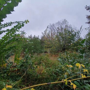 Продажа участков: 5 соток, Для строительства, Красная книга — 13