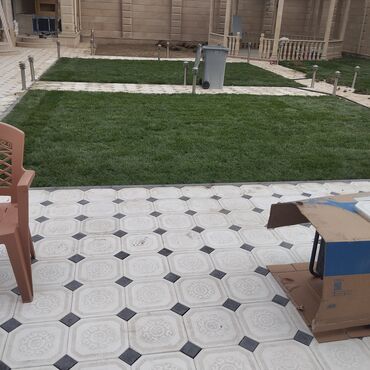 Toxumlar: Qazon satışı təbii və süni Qazonlarımız satışda mövcuddur təbii — 8