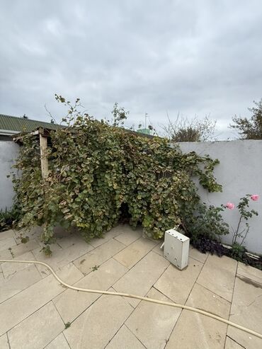 Həyət evləri və villaların satışı: 6 otaqlı, 150 kv. m — 19