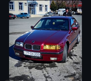 BMW: BMW 316: 1.8 l | 1992 il Hetçbek — 9