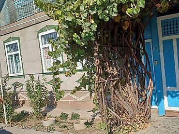 модульный дом бу: 4 комнаты, 98 м², 7 соток, Новопокровка, Собственник — 2