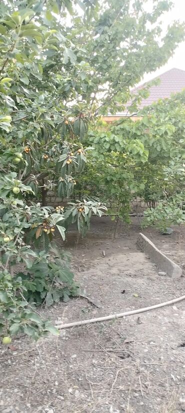 Həyət evləri və villaların satışı: 3 otaqlı, 120 kv. m, Kredit yoxdur, Orta təmir -da lalafo.az — 7 Həyət evləri və villaların satışı: 3 otaqlı, 120 kv. m, Kredit yoxdur, Orta təmir — 7