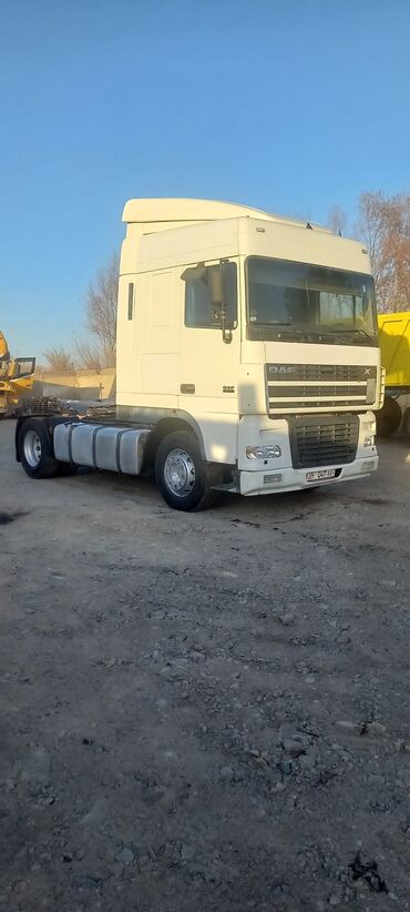 дефлектор воздуховода: Сүйрөгүч, DAF, 2003 г., Прицепсиз