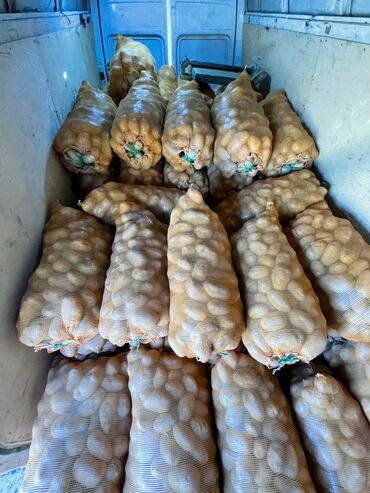 картошка фри оптом: Картошка Джелли, В розницу