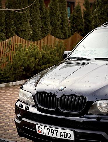 салон е46: BMW X5: 2006 г., 3 л, Бензин — 3