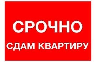 сниму квартиру 1 комната: 1 комната, Собственник, С мебелью полностью