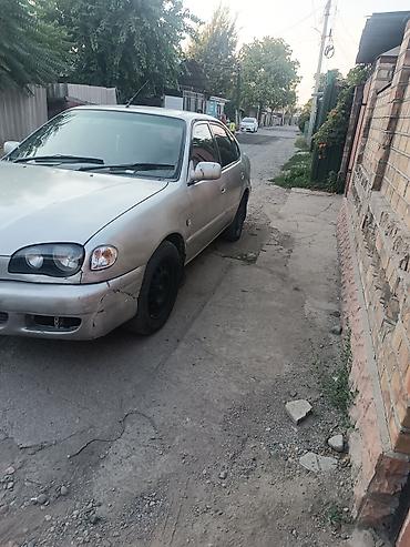 сотый крузак: Toyota Corolla: 2001 г., 1.8 л, Автомат, Бензин, Хэтчбэк — 3
