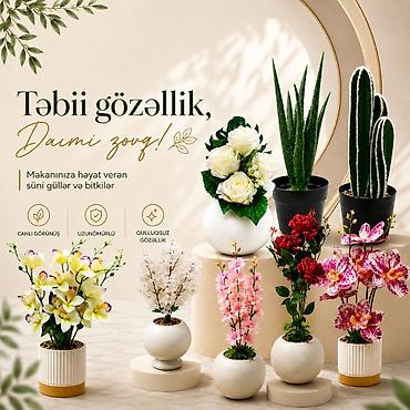 Искусственные цветы: Kataloq Əşya və ya xidmət axtarışı Tap Yeni elan Süni və dekorativ — 1